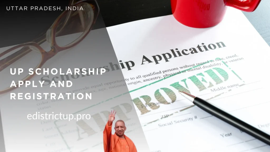 UP Scholarship